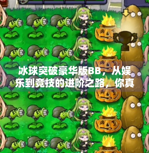 冰球突破豪华版BB，从娱乐到竞技的进阶之路，你真的了解它吗？冰球突破豪华版bb